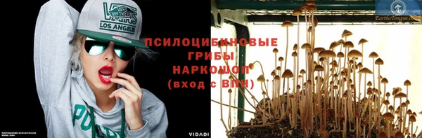 соль курить ск Ельня