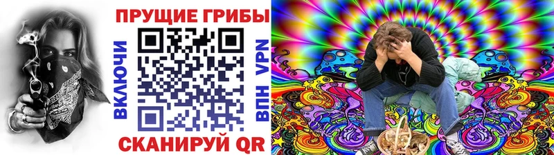 блэк спрут   Ивангород  Псилоцибиновые грибы прущие грибы 