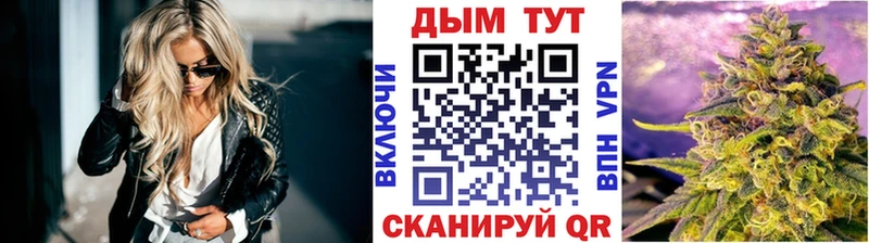 Конопля сатива  купить наркотик  Ивангород 